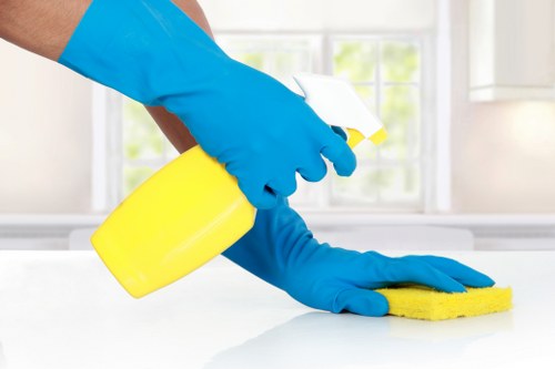 Transparent carpet cleaning pricing and estimate discussion