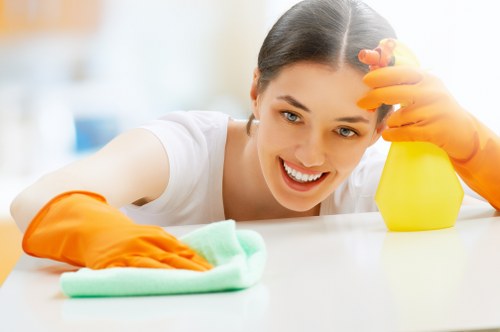 Detailed oven cleaning process for domestic and commercial customers