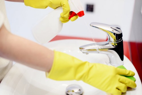 Contacting support for Carpetcleaning SW16 accessibility requests