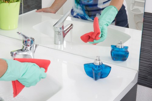Purified water window cleaning for upper-floor windows