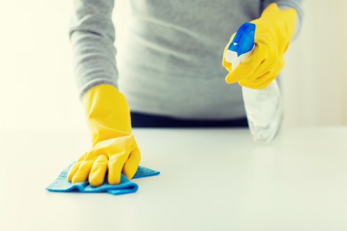 Cleaner treating high-traffic carpet areas in a SW16 home