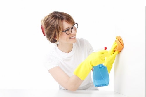 Window cleaning service for flats and terraces in SW16