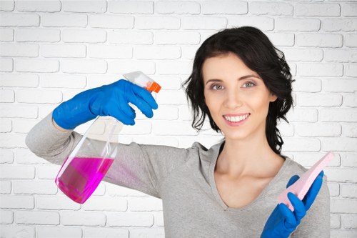 Regular house cleaning visit in Streatham SW16