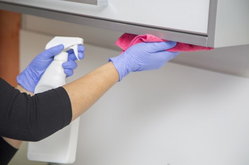 Regular home cleaning for a flat or house in SW16